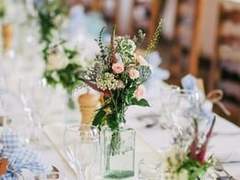 [웡낫] Si vis amari, ama!