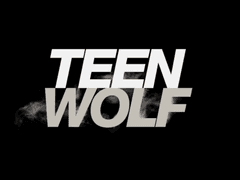 틴울프 위키 해석