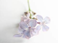 5월의 편지: 글쓰기