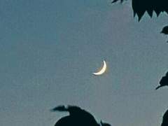 작은 악마가 너의 꿈을 잡아먹을지도 몰라.