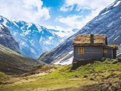 Kodak 5218 Kodak 2395 (by Adobe). cube