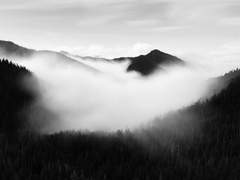 진혼 : 水墨畫 8. (完)