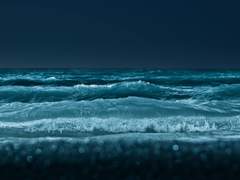 진 T. 라셀레스 / 1학년 / 혼혈