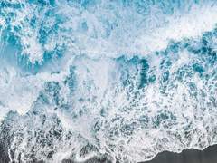 매점이 좋아, 운동이 좋아? _뭘 그런 걸 물어. 당연히 매점이지.