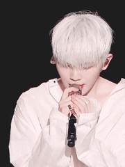 어둠이 드리운 꽃