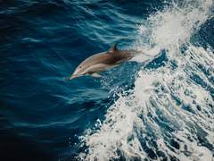 [노아매니] 물보라