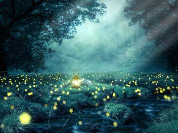 반딧불이의 밤