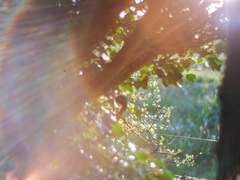 [셋링/단편] 살아간다는 건