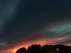 [타지하나] 새벽늪