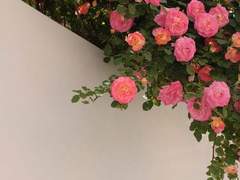 [마블_다수 드림] 얼굴에 김 묻었어요, 잘생김