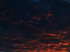 아비규환(阿鼻叫喚)