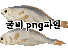 [무료배포] 굴비 png 파일