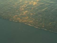 돌멩이를 주웠다