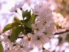 잃어버린 것들 (1)