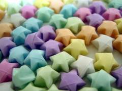 종이별 리히매니