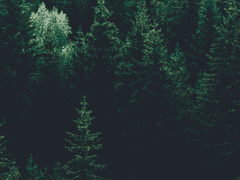 [리암노엘] Take me anywhere, I don't care 02