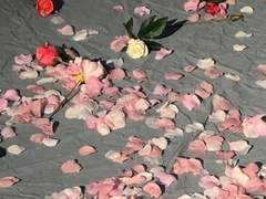 한 편의 동화 같은 사랑을 하고 싶어.