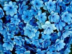 [ 츠구나가 아키토 / 16 ]