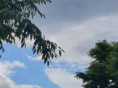 그 날, 소나기. (정연오 ver.)