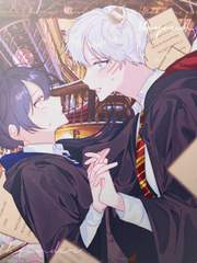 호영패파 IN 호그와트