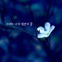 허니트랩캘리판매계