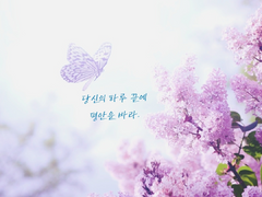 캘리 엽서 시안(위로)