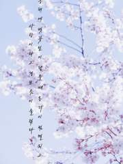 허니트랩폭스 캘리굿즈 견본