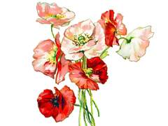 [세라모미] 아가씨와 공주님