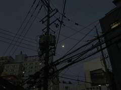 [정훈하진] 뽀뽀 금지령