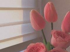 Merry Happy Ending 06