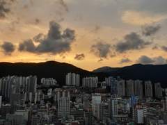 수이플 연성🍒