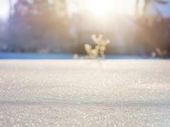 [마호야쿠/오즈] 기꺼이 배워야 하는 시간