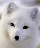 의천도룡기 2019 팬픽