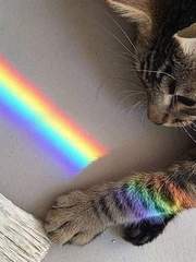 [번역] 퀴어 존 (쌈 북시에)