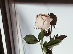 얼렁뚱땅 엉망진창 현쩰⋆⁺₊⋆ ♡