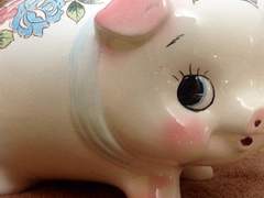 쭝쭝이 그림 기록소