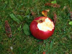 기침과, 가난과, 사랑은, #12