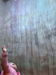 가족 깔마춤 미담 1