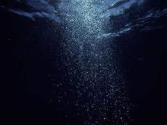 내 생애 이처럼 아름다운 날