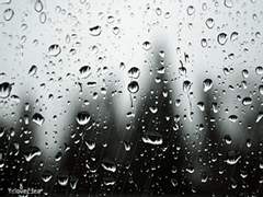 [농면] Love me or Leave me