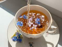 앨러시아 B. 플러렛/4학년/비오렌치아/인장지원 X