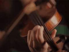 알바트로스를 위한 아리아