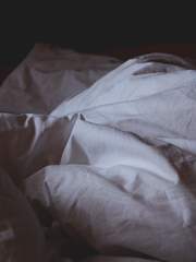 닿지 못한 애상의 기록