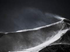 기억을 걷는 시간