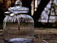 [피텐트 라이셀] 라이셀, 라이셀!