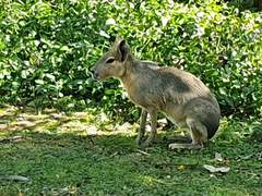 부에노스 아이레스 - Eco Park