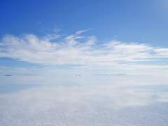 [다프네] Break the rule - Opening stage