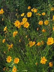 (국뷔)늘, 너 [완결]