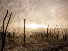 [다프네] 또 한 번, 첫만남.