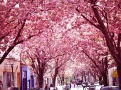 [완결] 총애와연민 추천 W.해쪼이